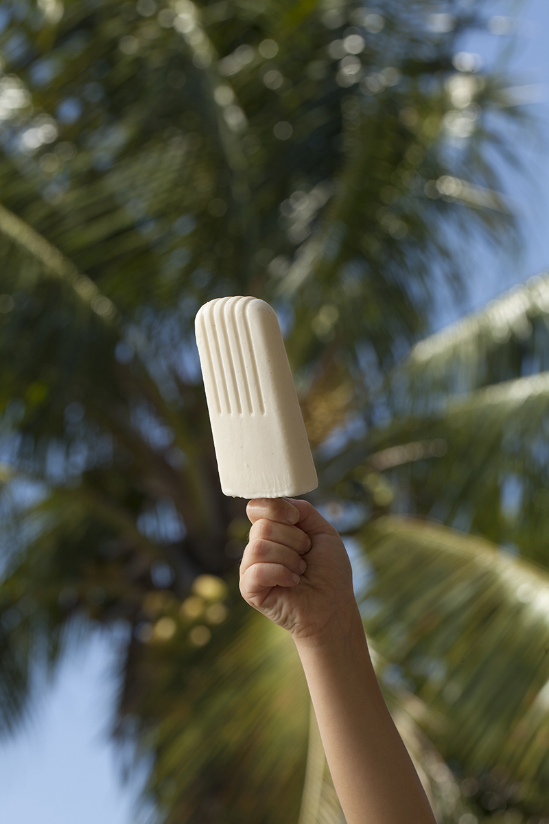 Coconut Popsicle, Summer Dessert, Cold Treat, Nutrition, Food Blogger, Sun and Salt Wellness