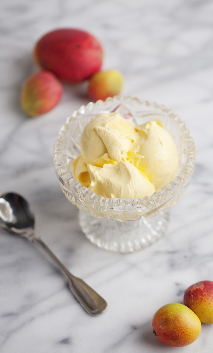 Mango Gelato, Sweet Treat, Homemade Gelato, Food Blogger, Sun and Salt Wellness